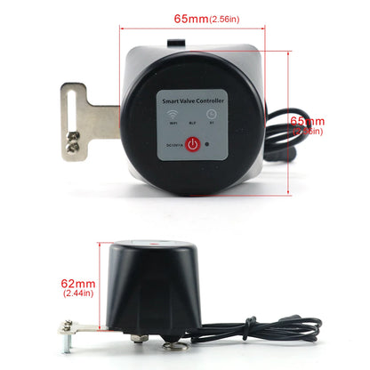 WiFi Water Valve Smart Control Alexa